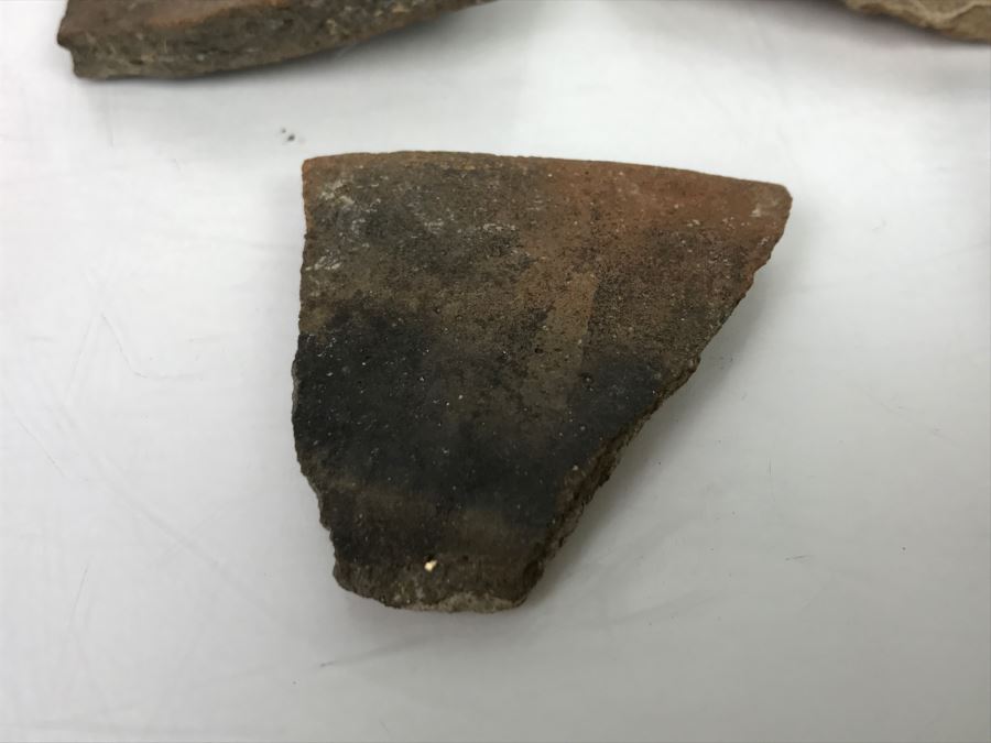 Collection Of Pottery Pieces And Beads From Indian Campsite In Coyote Canyon At Borrego [Photo 19]