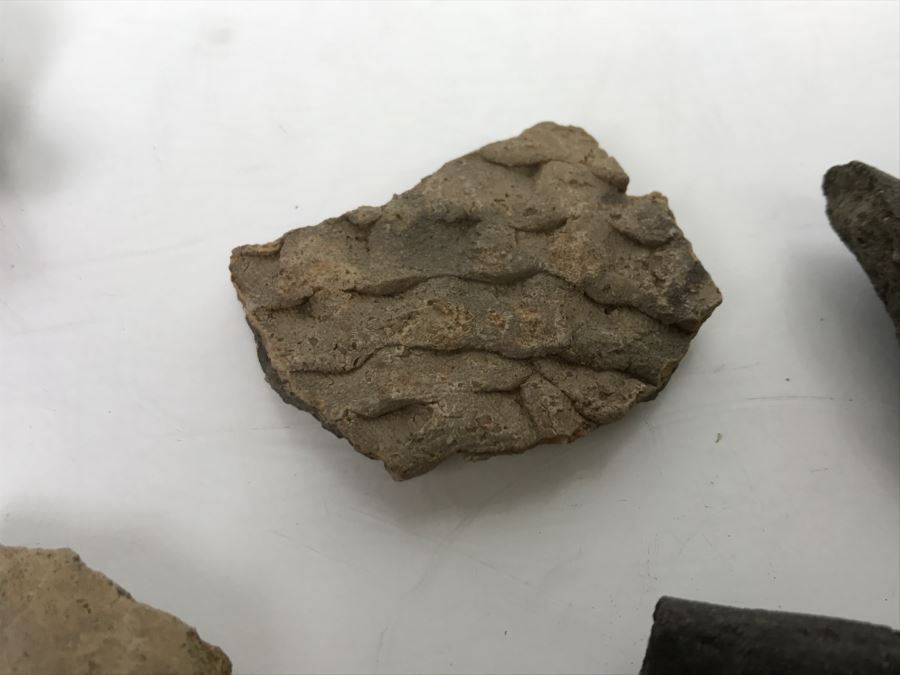 Collection Of Pottery Pieces And Beads From Indian Campsite In Coyote Canyon At Borrego [Photo 22]