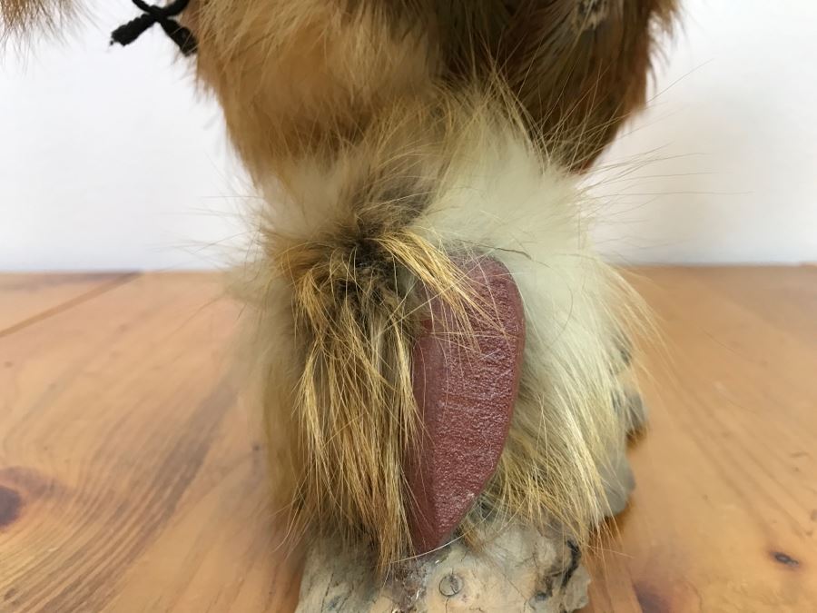 Hopi Kachina Doll KWAHU The Eagle Dancer Signed By R. David 24'W X 19'H x 15'D [Photo 18]