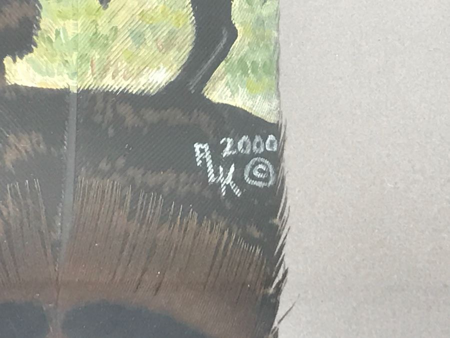 Andrew Knudson Hand Painted Feather Of Buffalo In Nice Shadow Box Frame Vintage 2000 15.5'W X 21.5'H [Photo 9]