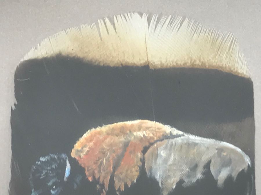 Andrew Knudson Hand Painted Feather Of Buffalo In Nice Shadow Box Frame Vintage 2000 15.5'W X 21.5'H [Photo 11]