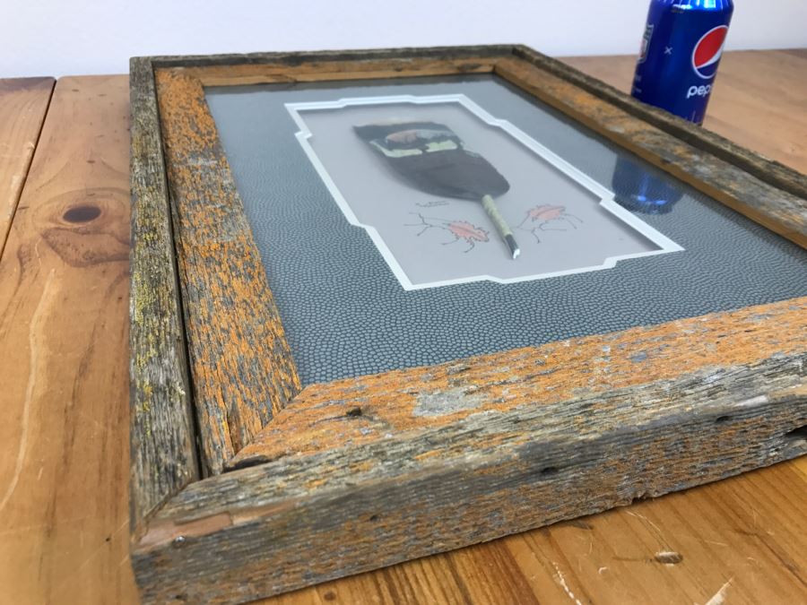 Andrew Knudson Hand Painted Feather Of Buffalo In Nice Shadow Box Frame Vintage 2000 15.5'W X 21.5'H [Photo 13]