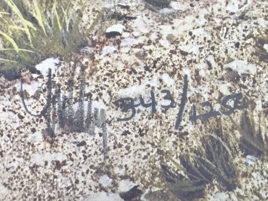 1989 Frank C. McCarthy Limited Edition Print Titled 'Los Diablos' 343 Of 1250 Hand Signed By Artist 34'W X 33'H [Photo 17]