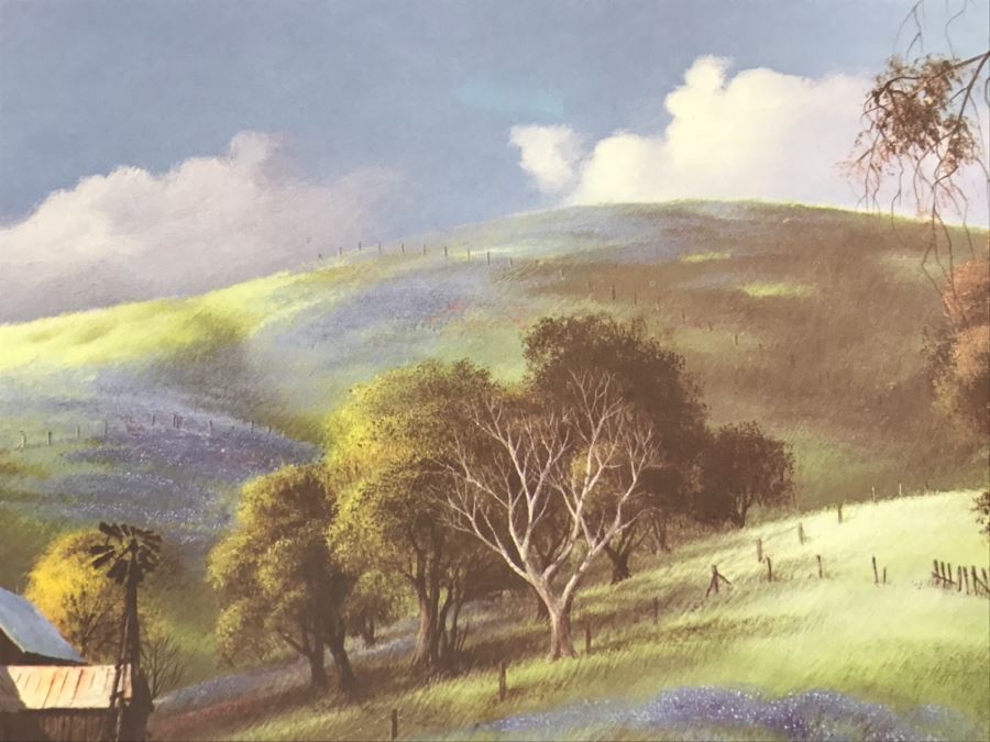 1983 Richard Danskin Limited Edition Lithograph Print Titled 'Passing Clouds' 236 Of 330 Hand Signed And Personalized 32'W X 24'H [Photo 13]