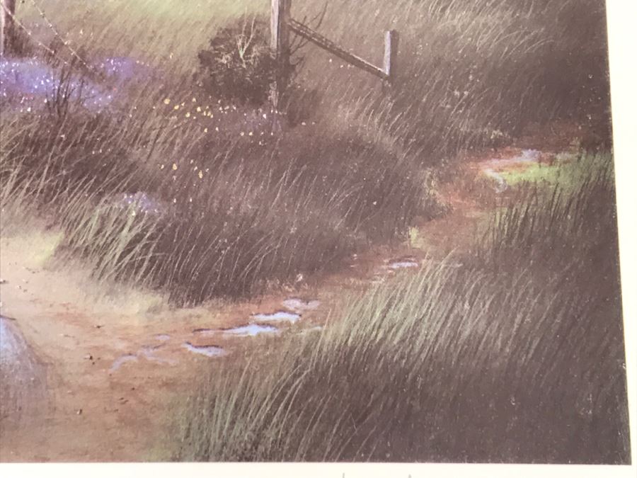 1983 Richard Danskin Limited Edition Lithograph Print Titled 'Passing Clouds' 236 Of 330 Hand Signed And Personalized 32'W X 24'H [Photo 12]