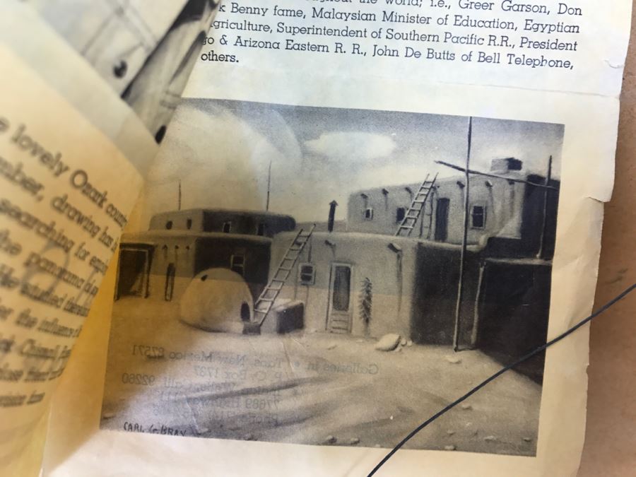 Carl G. Bray Original Oil Painting Of Desert Smoke Tree 30'W X 24'H [Photo 13]