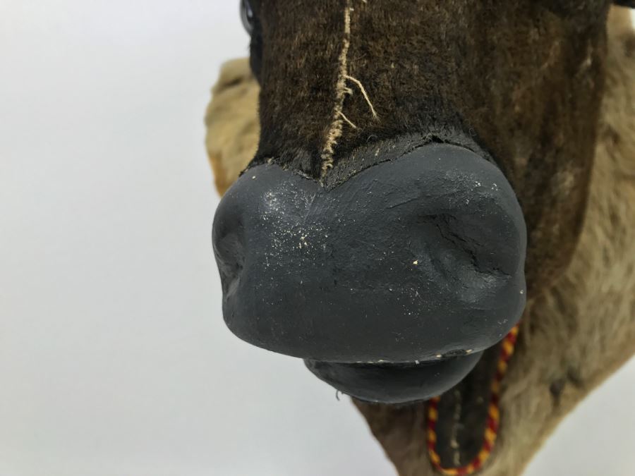 Faux Taxidermy Bull Head [Photo 6]