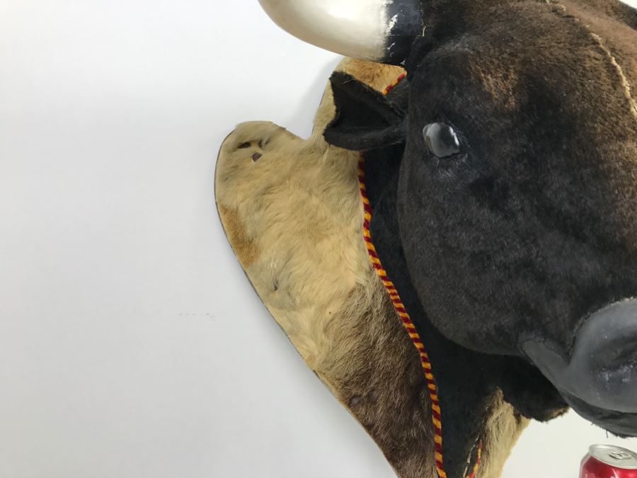 Faux Taxidermy Bull Head [Photo 11]