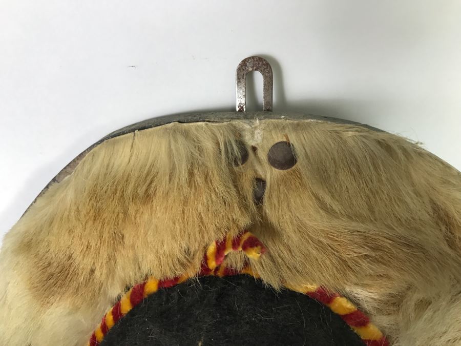 Faux Taxidermy Bull Head [Photo 21]