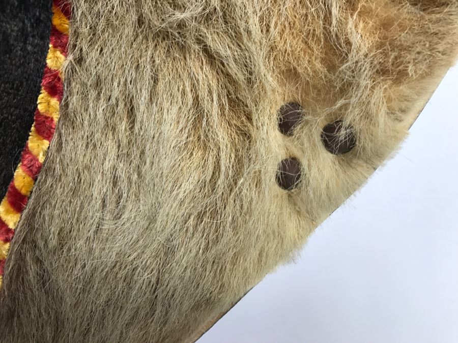 Faux Taxidermy Bull Head [Photo 14]