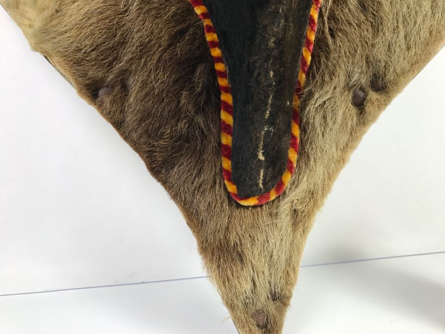 Faux Taxidermy Bull Head [Photo 13]