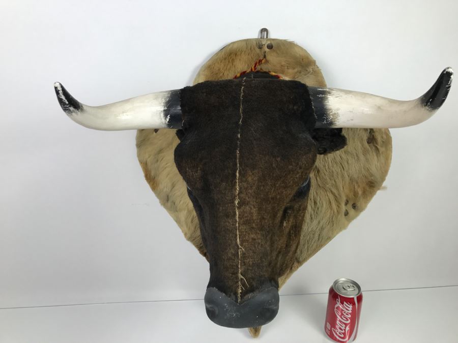 Faux Taxidermy Bull Head [Photo 17]