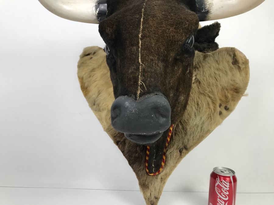 Faux Taxidermy Bull Head [Photo 20]