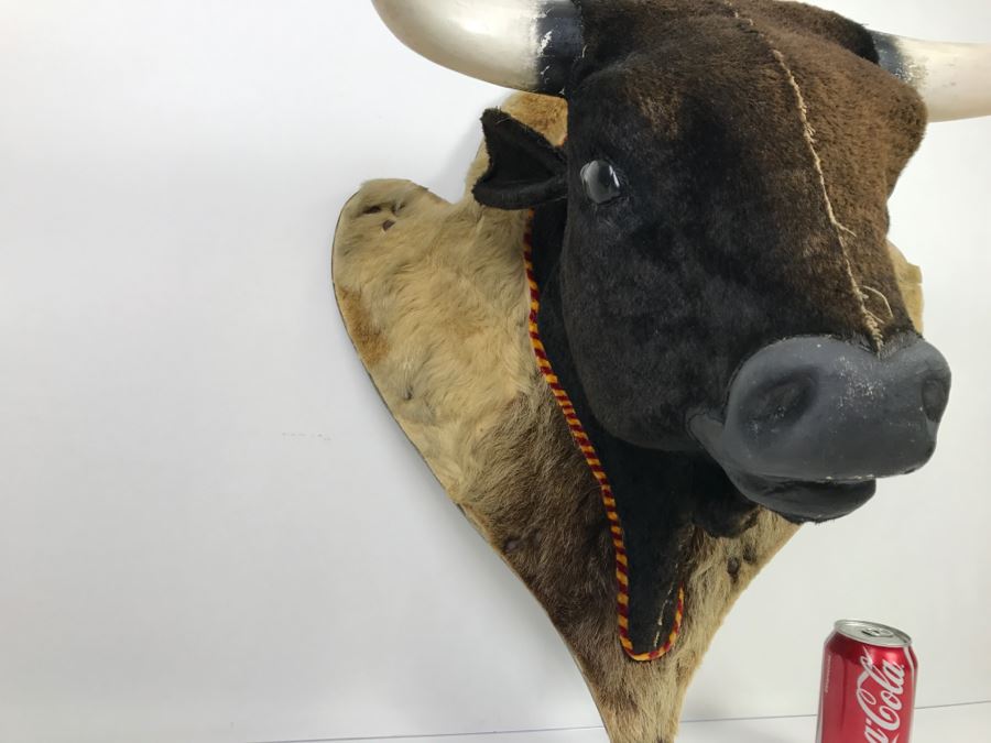 Faux Taxidermy Bull Head [Photo 10]