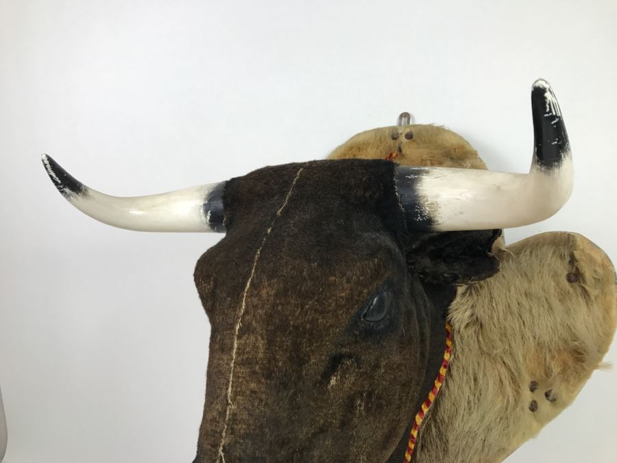 Faux Taxidermy Bull Head [Photo 8]