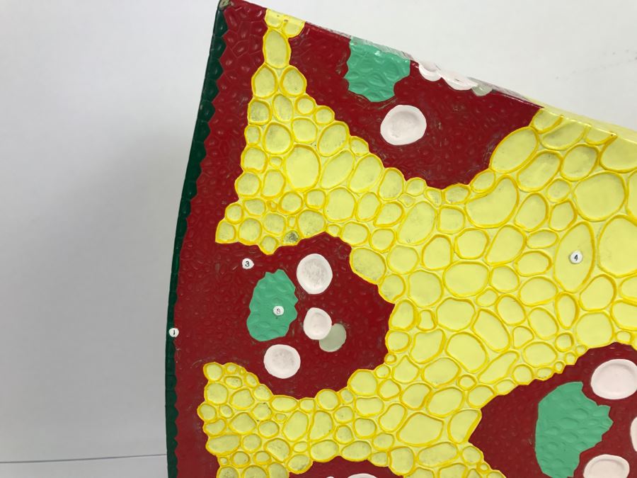 Enlarged Classroom Display Learning Model From Carolina Biological Supply Company Burlington, NC [Photo 8]