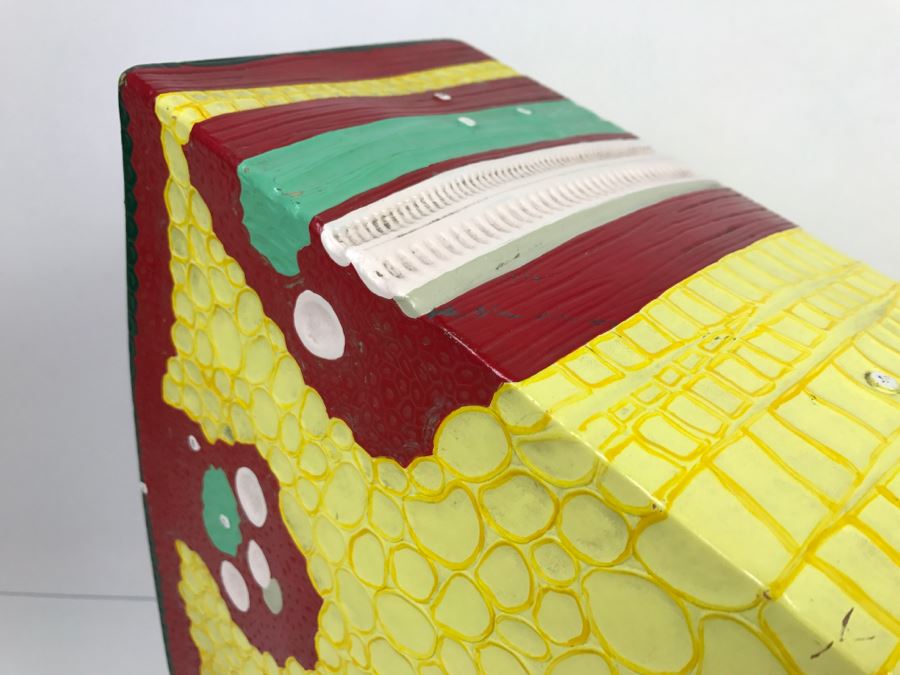 Enlarged Classroom Display Learning Model From Carolina Biological Supply Company Burlington, NC [Photo 15]