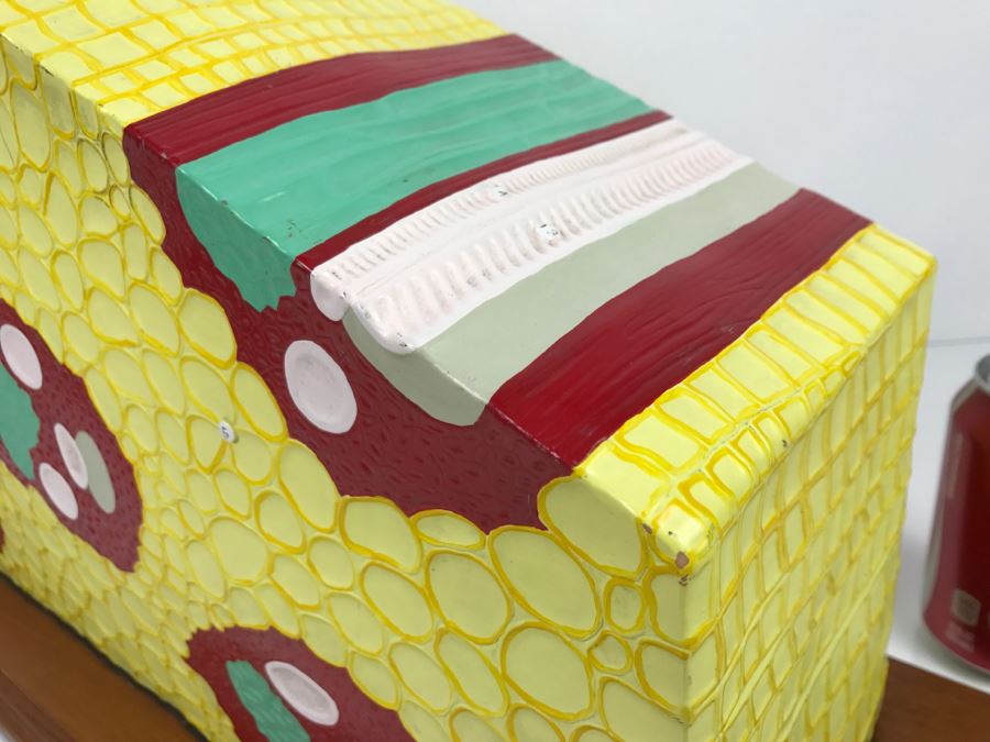 Enlarged Classroom Display Learning Model From Carolina Biological Supply Company Burlington, NC [Photo 14]