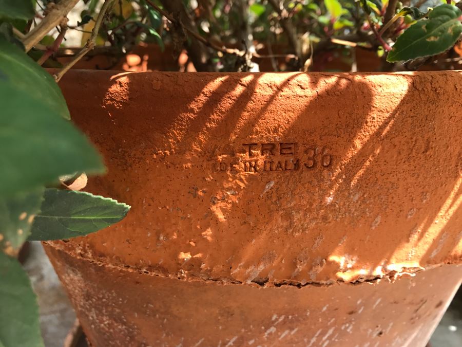 Set Of (3) Outdoor Potted Plants [Photo 6]