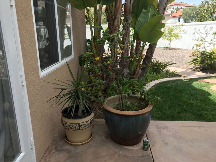Set Of (2) Large Outdoor Potted Plants