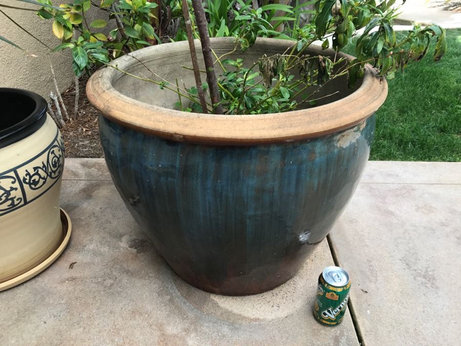 Set Of (2) Large Outdoor Potted Plants [Photo 4]