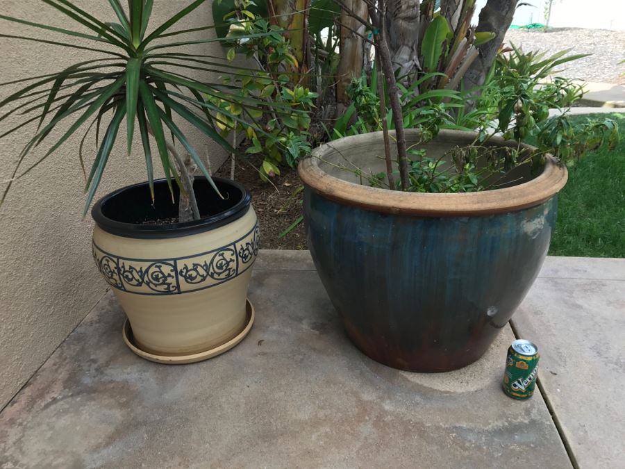 Set Of (2) Large Outdoor Potted Plants [Photo 3]