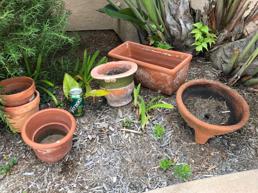 Various Outdoor Planting Pots
