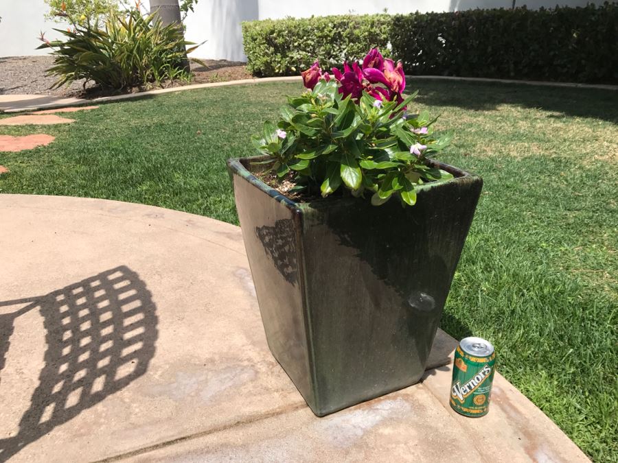 Large Outdoor Potted Plant