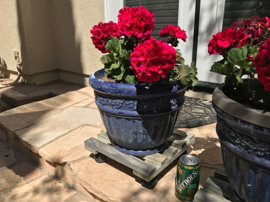 Pair Of Potted Plants [Photo 5]