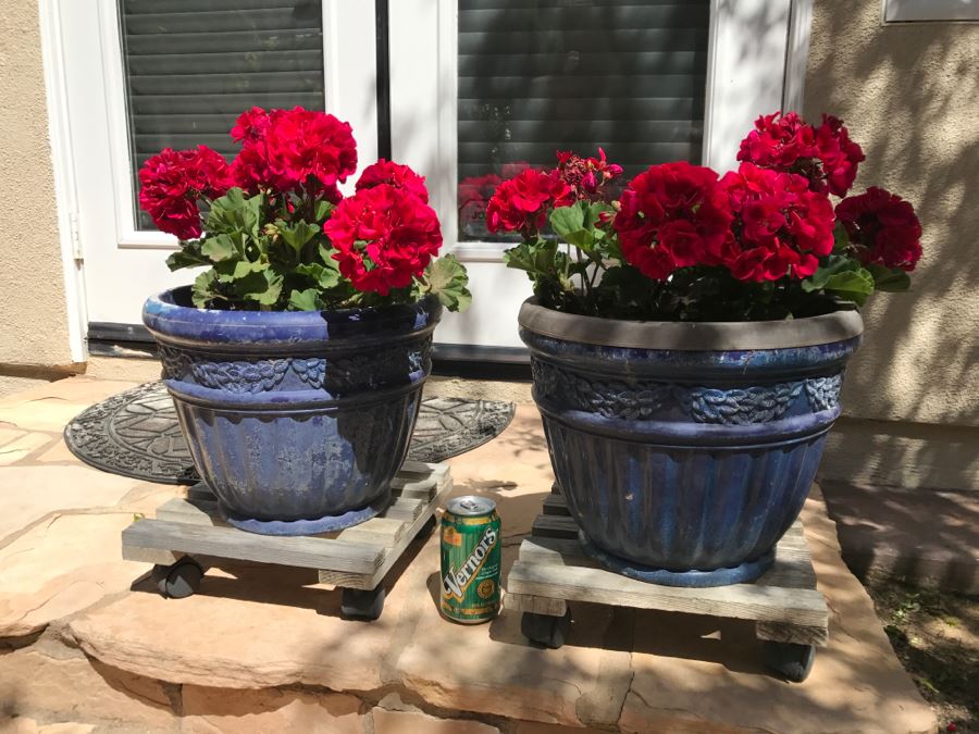 Pair Of Potted Plants