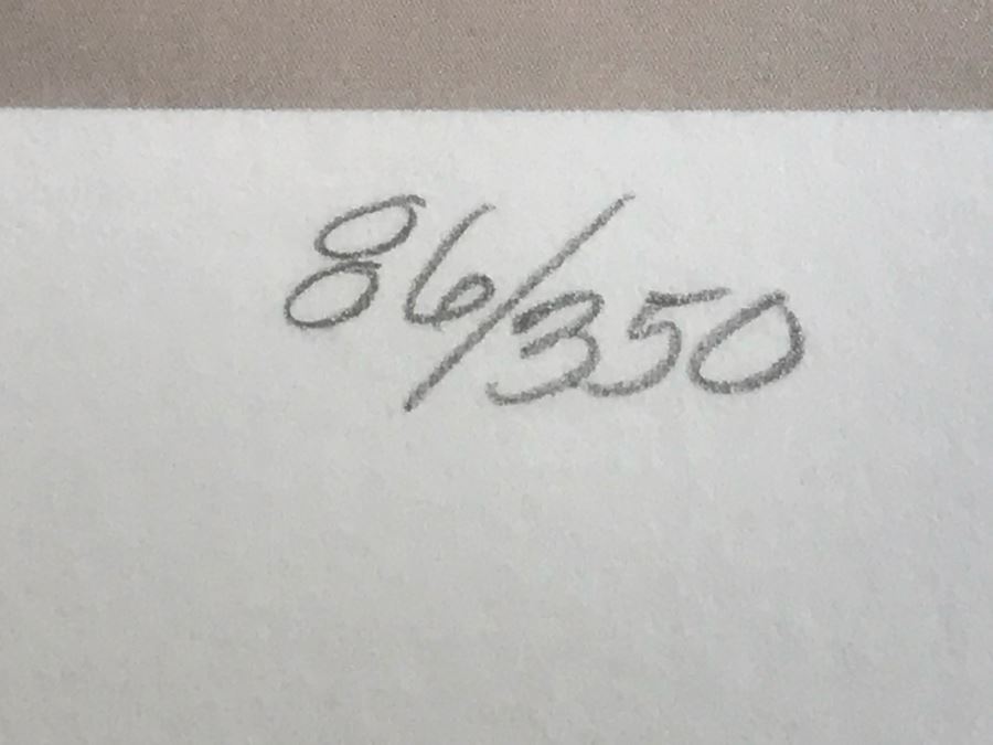 Carolyne Hawley Limited Edition Print Of White Horses 86 Of 350 Hand Signed By Artist 33' X 39' [Photo 10]