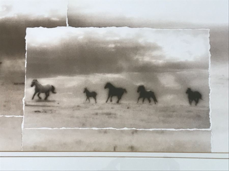 Framed Decorative Print Of Horses Running Through Field [Photo 5]