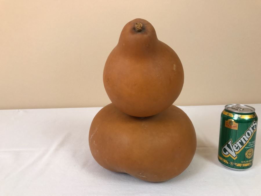 Dried Ornamental Gourd [Photo 2]