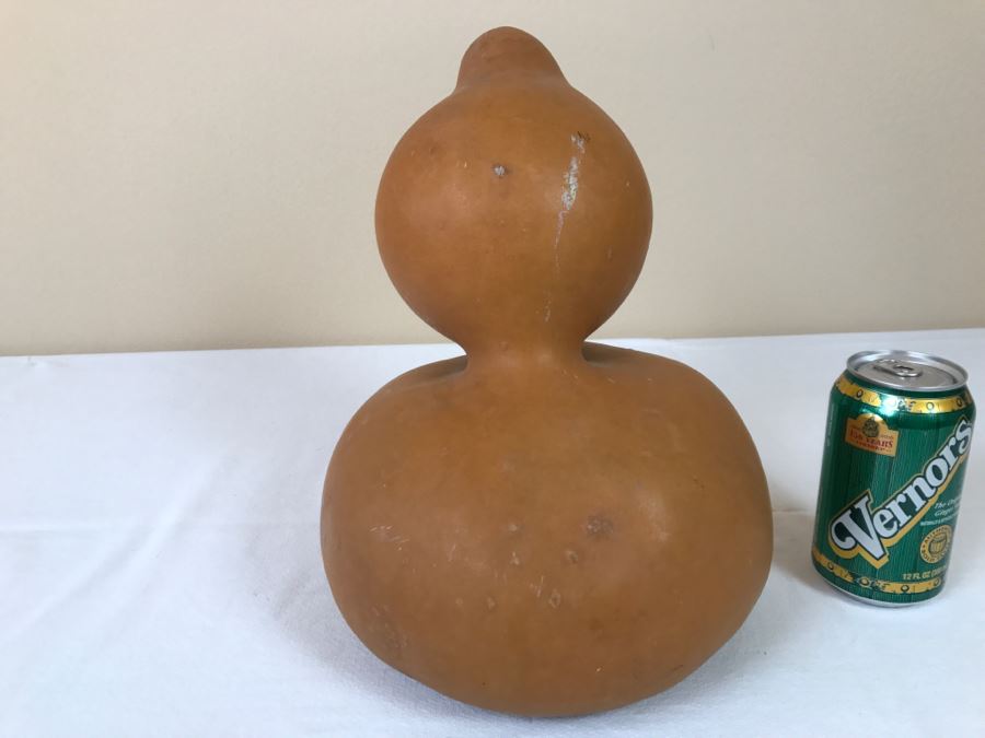 Dried Ornamental Gourd [Photo 4]