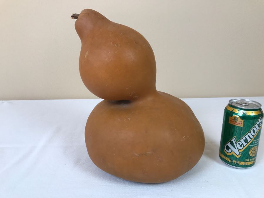 Dried Ornamental Gourd [Photo 3]