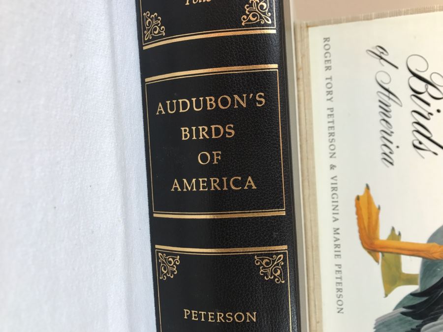 Large Book The Audubon Society Baby Elephant Folio 0-89659-231-6 Regular Edition Audubon's Birds Of America Roger Tory Peterson & Virginia Marie Peterson [Photo 8]