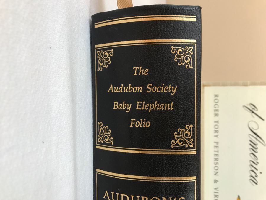Large Book The Audubon Society Baby Elephant Folio 0-89659-231-6 Regular Edition Audubon's Birds Of America Roger Tory Peterson & Virginia Marie Peterson [Photo 7]