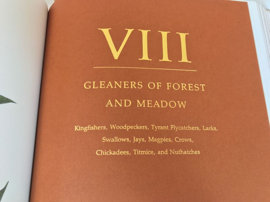 Large Book The Audubon Society Baby Elephant Folio 0-89659-231-6 Regular Edition Audubon's Birds Of America Roger Tory Peterson & Virginia Marie Peterson [Photo 18]