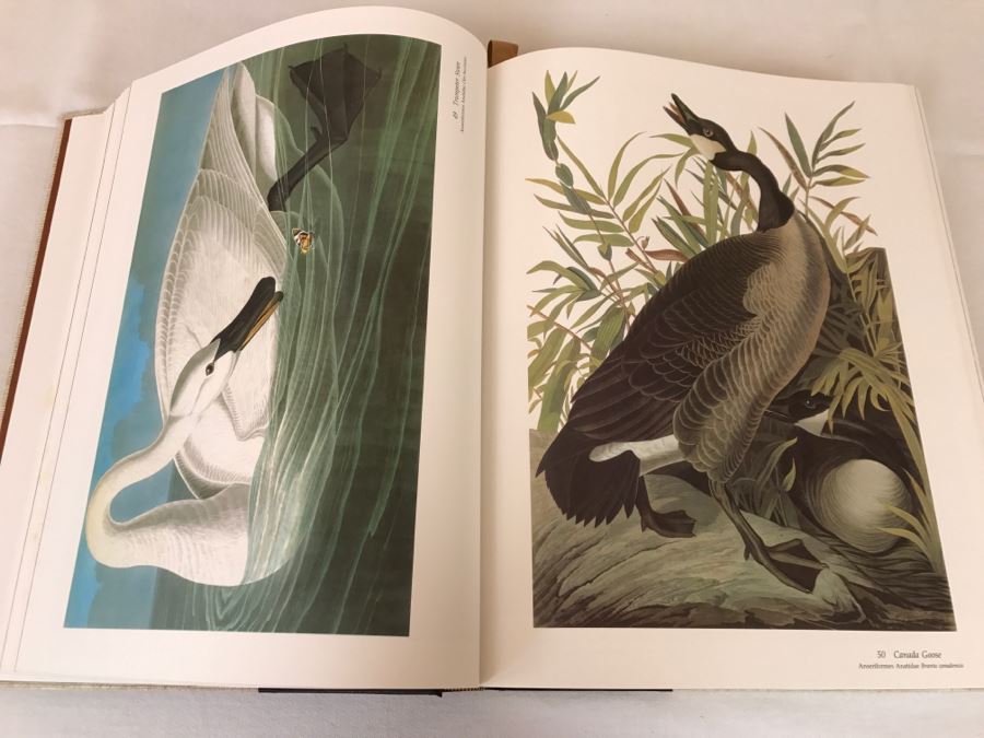 Large Book The Audubon Society Baby Elephant Folio 0-89659-231-6 ...