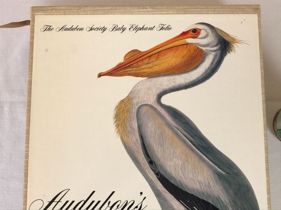 Large Book The Audubon Society Baby Elephant Folio 0-89659-231-6 Regular Edition Audubon's Birds Of America Roger Tory Peterson & Virginia Marie Peterson [Photo 3]