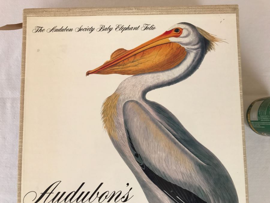 Large Book The Audubon Society Baby Elephant Folio 0-89659-231-6 Regular Edition Audubon's Birds Of America Roger Tory Peterson & Virginia Marie Peterson [Photo 4]