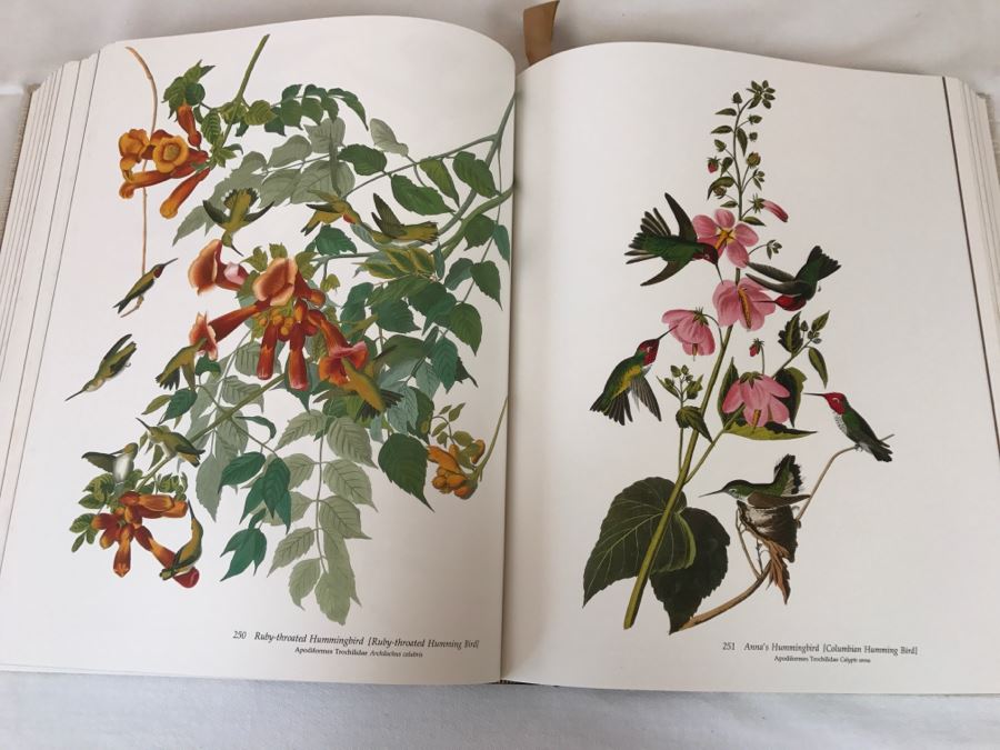 Large Book The Audubon Society Baby Elephant Folio 0-89659-231-6 Regular Edition Audubon's Birds Of America Roger Tory Peterson & Virginia Marie Peterson [Photo 17]