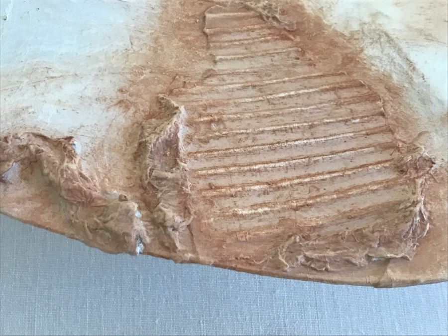 Large Signed 1990 E Gail Relief Plate Bowl Sculpture With Crumpled Paper Cardboard Design In Acrylic Shadowbox Frame [Photo 5]