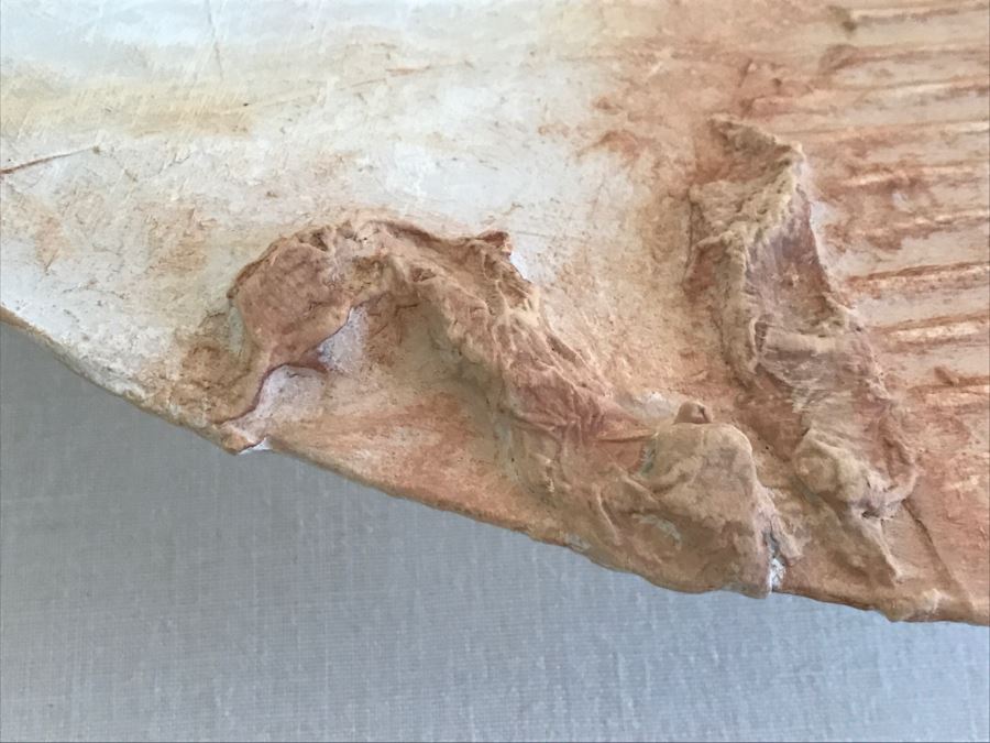 Large Signed 1990 E Gail Relief Plate Bowl Sculpture With Crumpled Paper Cardboard Design In Acrylic Shadowbox Frame [Photo 11]