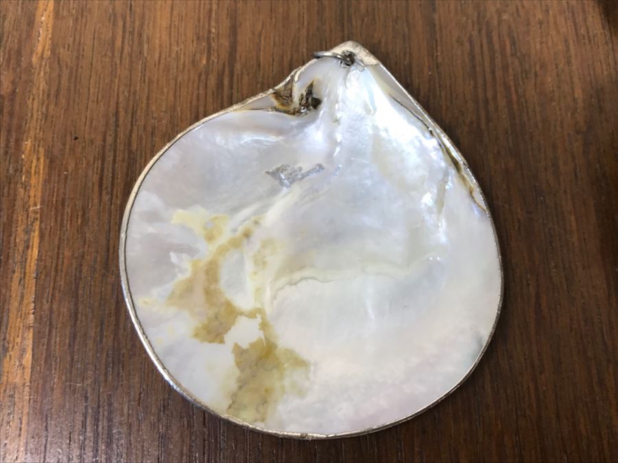 Set Of (3) Shell Jewelry Pieces [Photo 8]