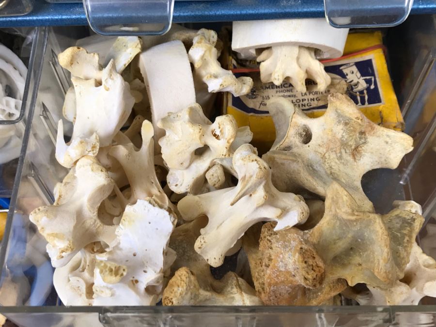 Nice Bead Lot For Making Jewelry And Storage Cabinet - See All Photos [Photo 16]