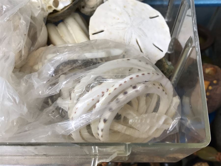 Nice Bead Lot For Making Jewelry And Storage Cabinet - See All Photos [Photo 18]