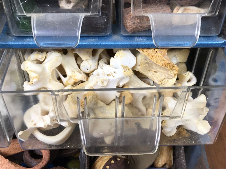 Nice Bead Lot For Making Jewelry And Storage Cabinet - See All Photos [Photo 13]