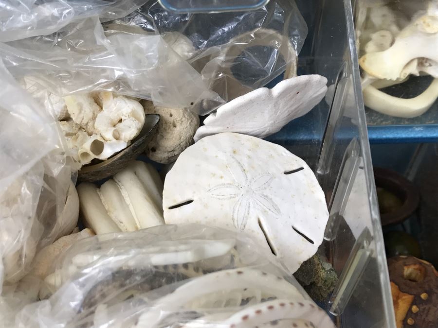 Nice Bead Lot For Making Jewelry And Storage Cabinet - See All Photos [Photo 19]