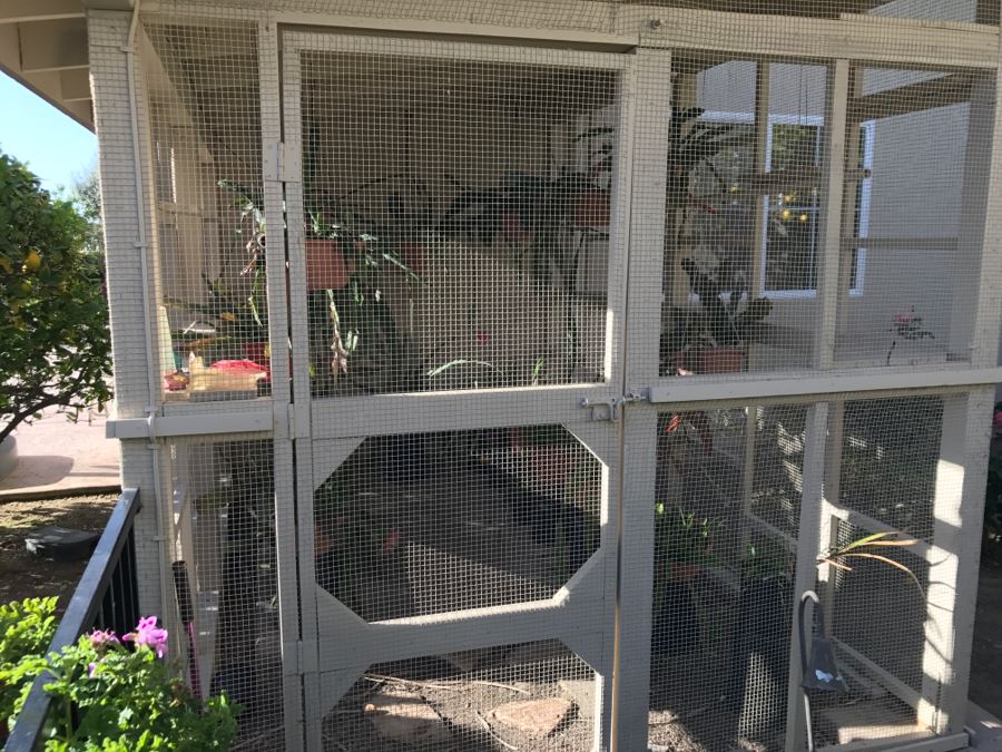 Shade House Full Of Epiphyllum Orchid Cactus Plants In Bloom 20+ Plants [Photo 18]